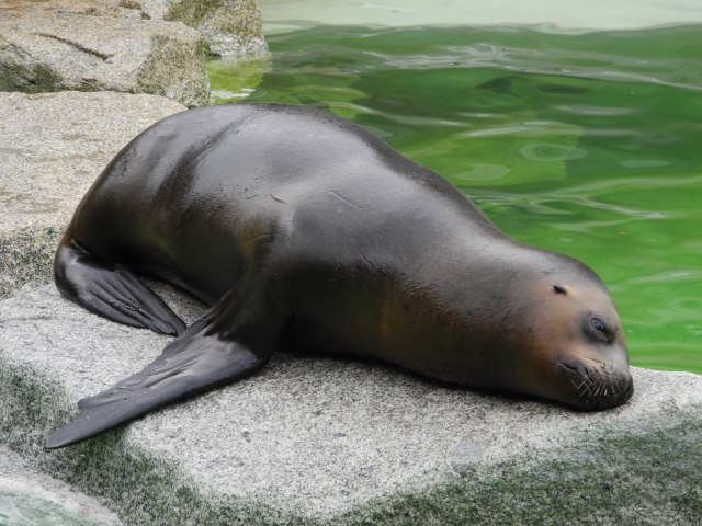 43502962151c7094779083157109839 640x480